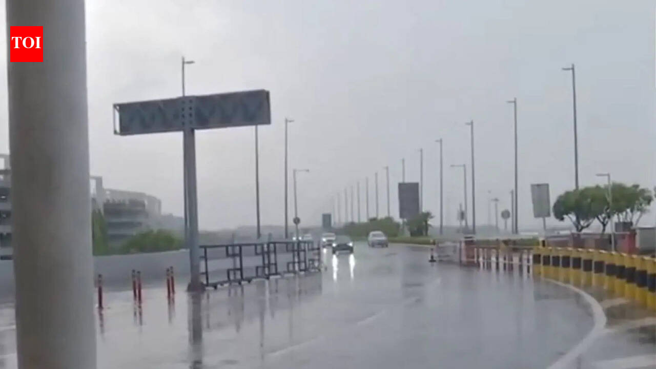 Light rain brings relief to Delhi-NCR as IMD forecasts rise in temperatures over coming days