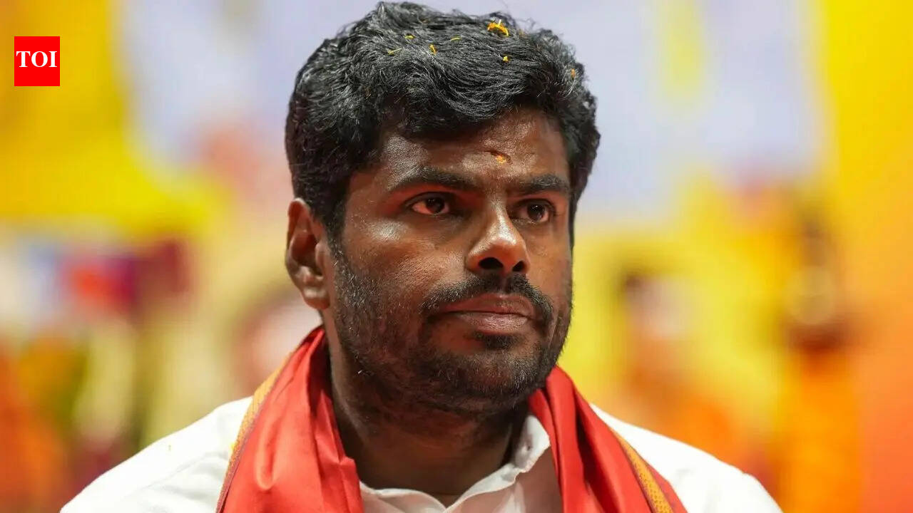 'Increase in crimes involving North Indians': K Annamalai demands stricter checks on migrants