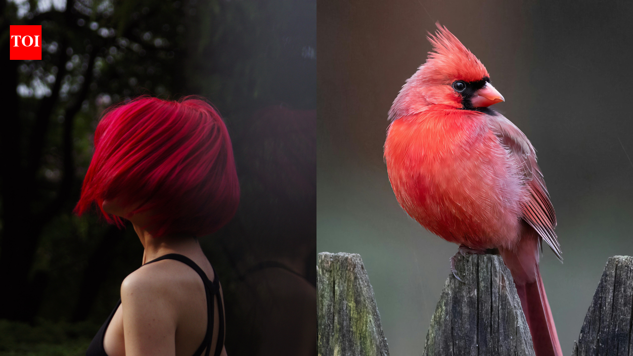 The reason behind red and orange hair in humans revealed: Birds unlock evolutionary mystery of ginger hair
