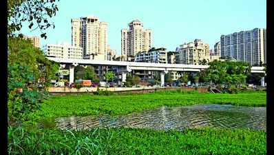 BMC seeks to spend 1.8 cr to draw Powai lake redevpt plan