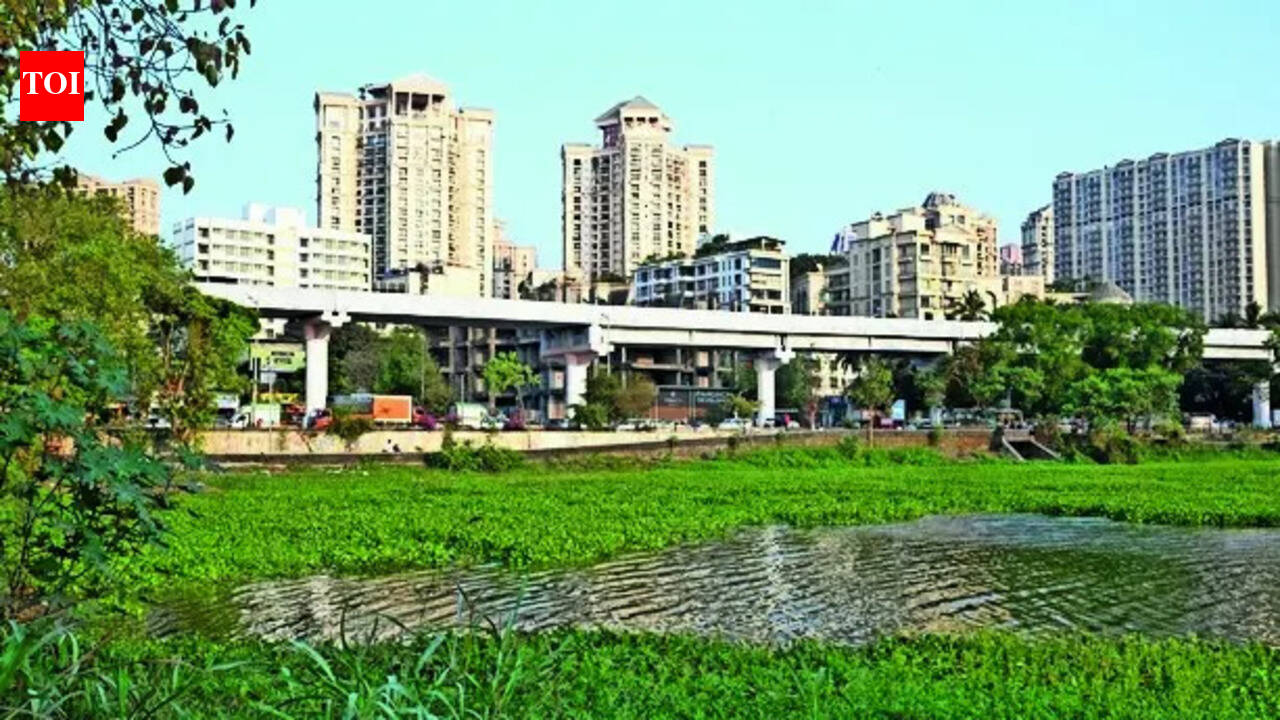 BMC seeks to spend 1.8 cr to draw Powai lake redevpt plan