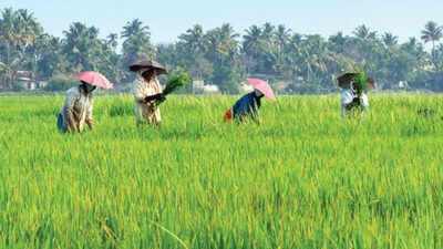 Tamil Nadu expands crop loan waiver up to Rs 75,000, benefits 14.43L farmers