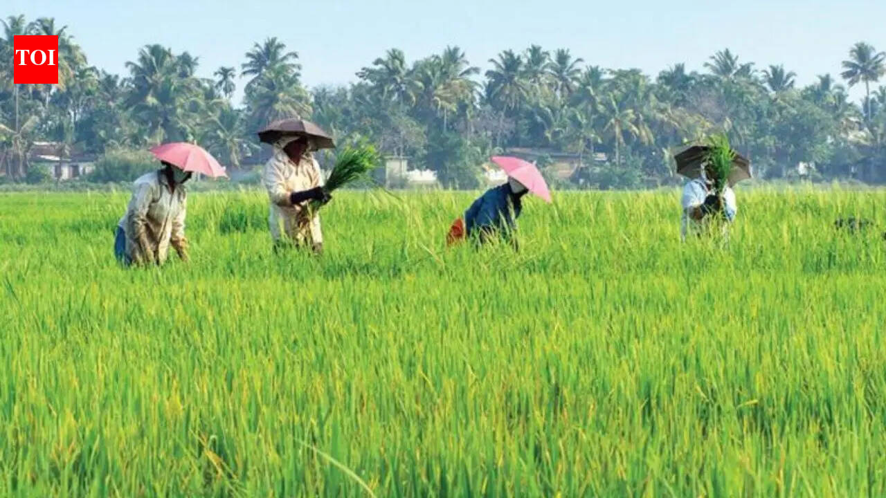 Tamil Nadu expands crop loan waiver up to Rs 75,000, benefits 14.43L farmers