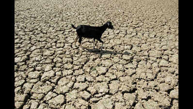 ‘India needs a climate change policy for elders’