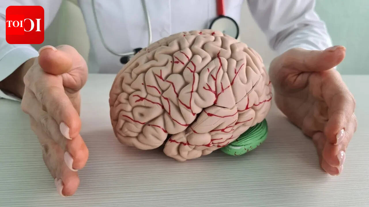 Just 15 minutes a day: You can sharpen your brain at any age (even at 94), new study finds
