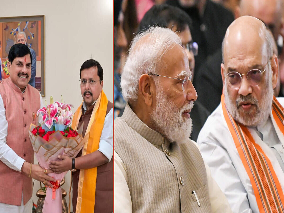 BJP Prepares for Possible Early Elections in Key States Ahead of Census  Exercise | Watch