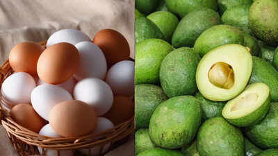  Which has more protein