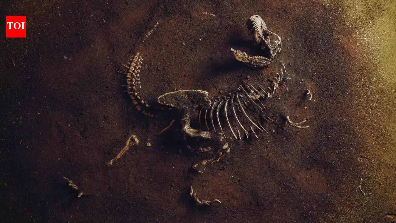 From Tharosaurus to Rajasaurus: 8 Indian dinosaur names