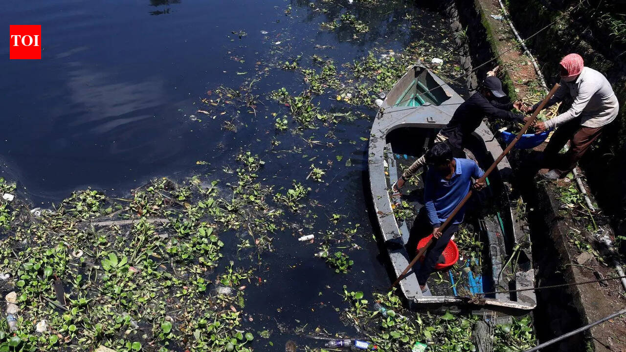 Meeting directs KMRL to fast-track Kochi’s canal cleanup and key bridge projects