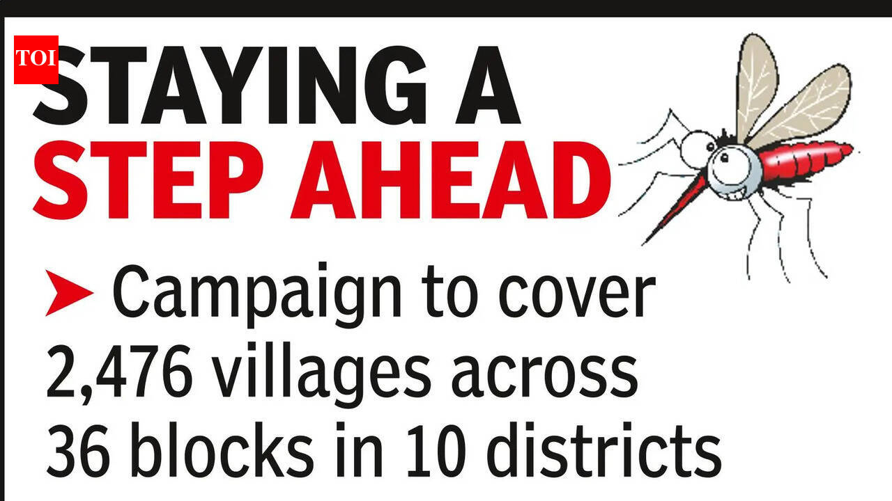 Chhattisgarh launches 14th phase of anti-malaria drive; 16.2 lakh people to be screened in Bastar