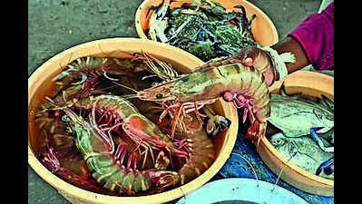 AP to set up panel to regulate shrimp feed prices