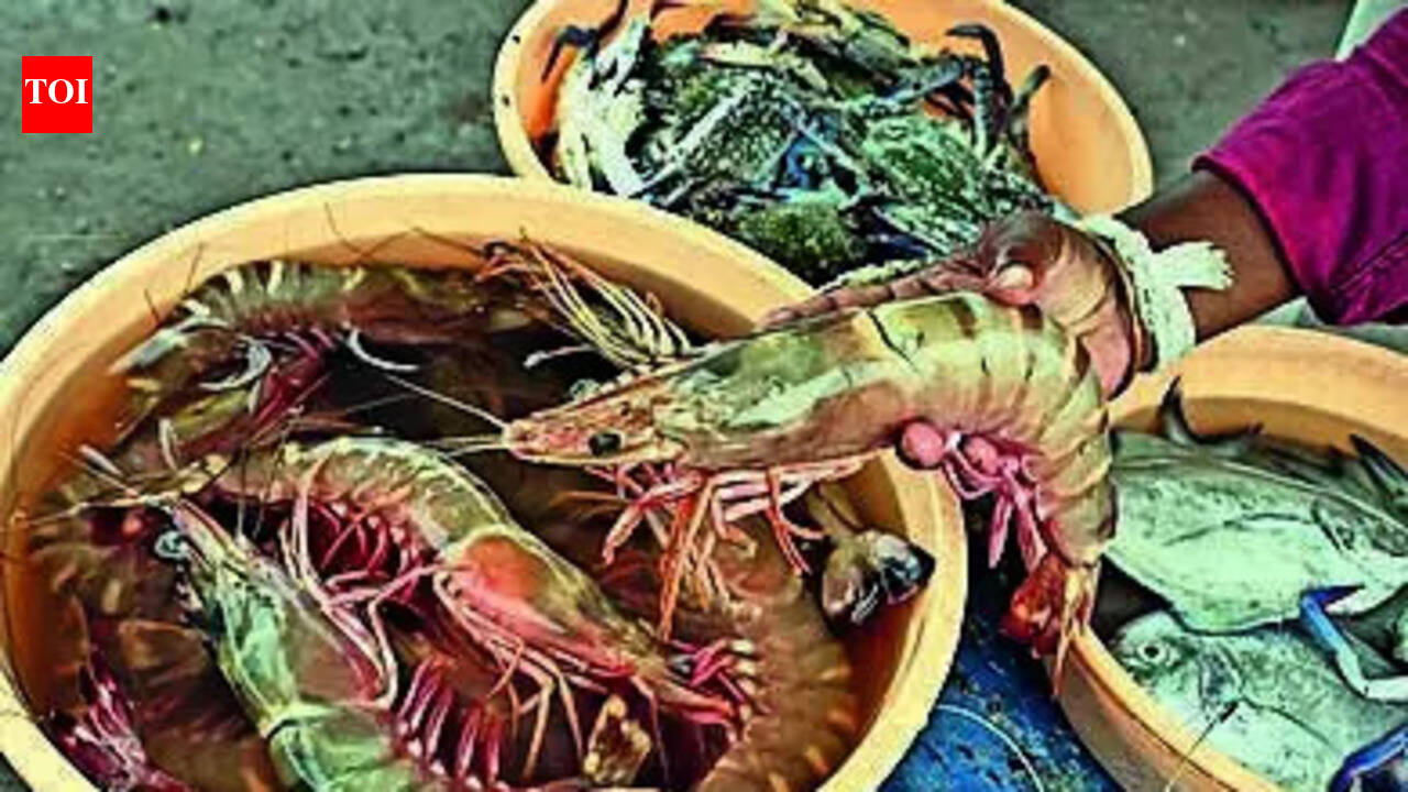 AP to set up panel to regulate shrimp feed prices