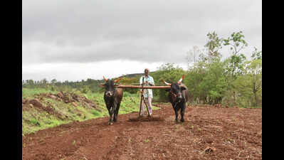 Farmers in Krishna sub-basin areas fume over curbs on using river water for agriculture