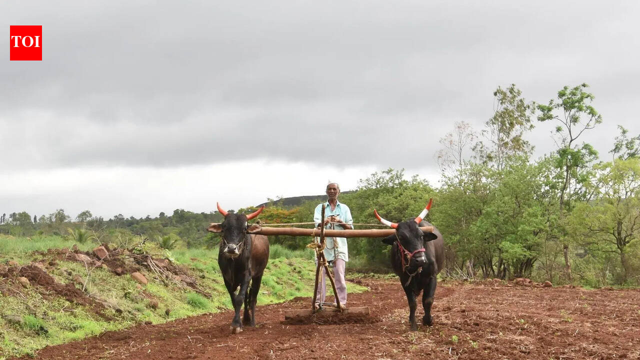 Farmers in Krishna sub-basin areas fume over curbs on using river water for agriculture