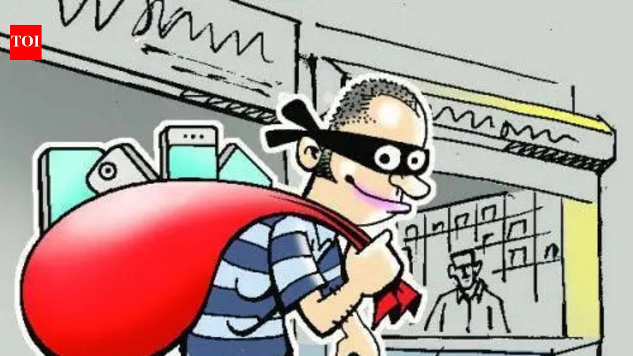 MacBooks, phones stolen in early-morning theft in Bengaluru rented house
