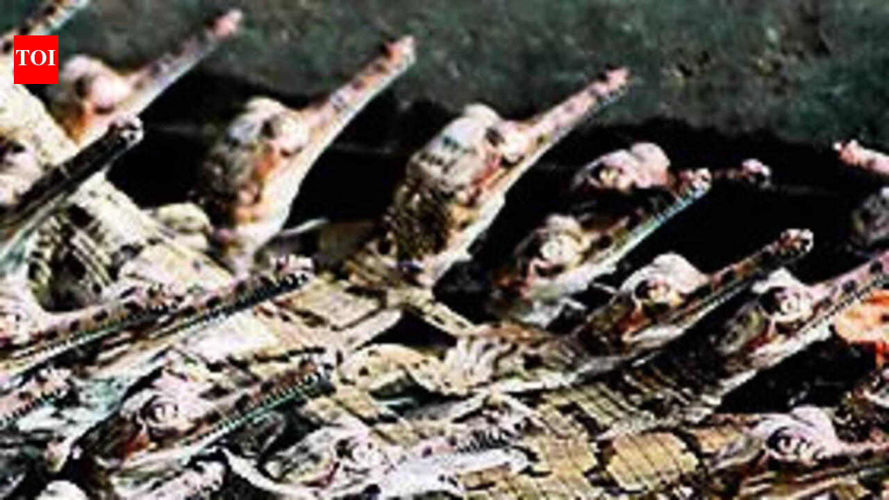With over 95% success rate, Lucknow’s gharial rehab centre alive &amp; hatching