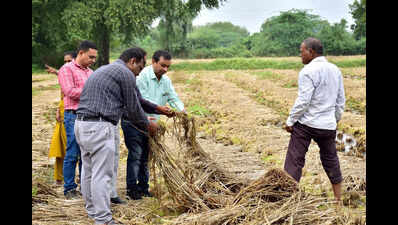 Rs 22,733cr paid to farmers for crop loss in 10 years: Govt
