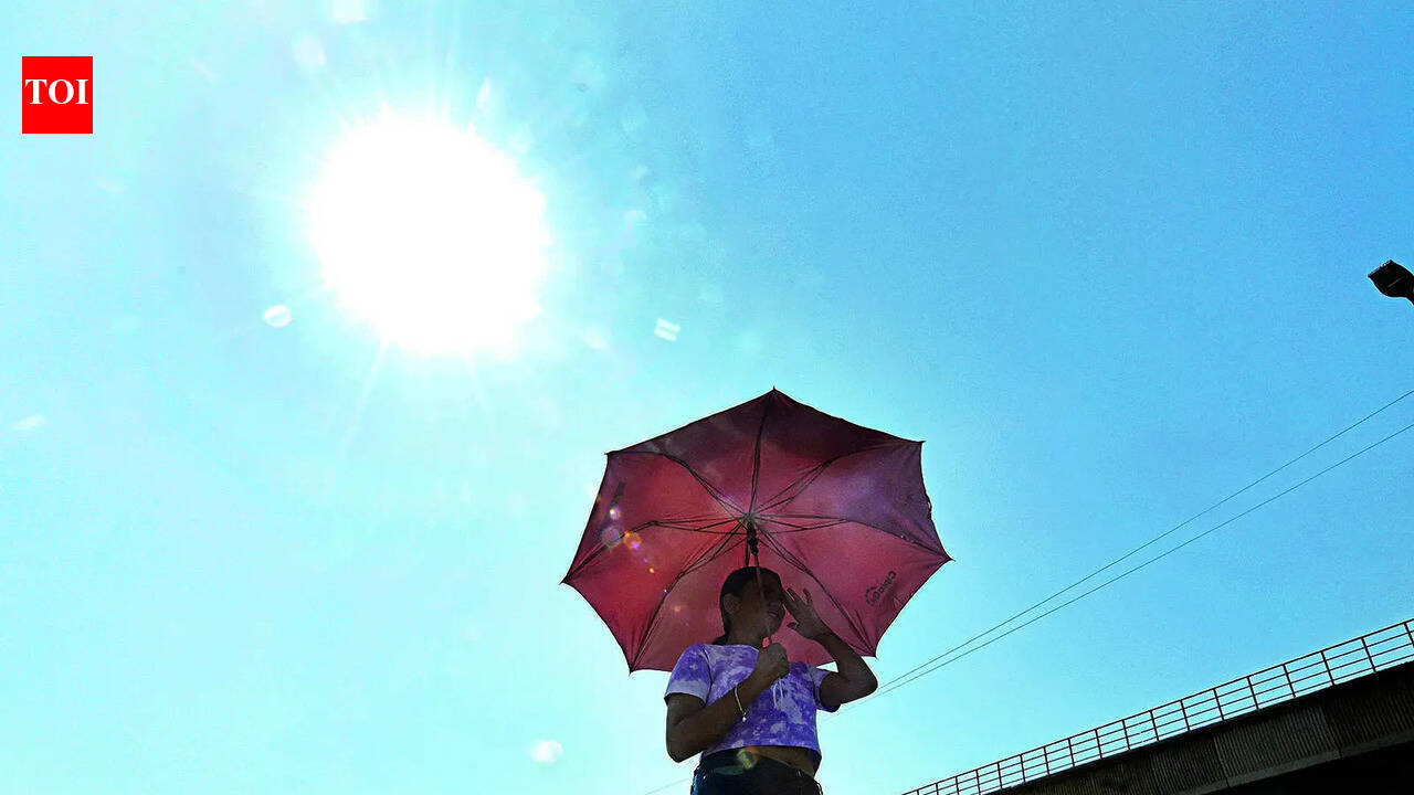 Ahmedabad: Sustained heat, humidity fuel rise in viral infections