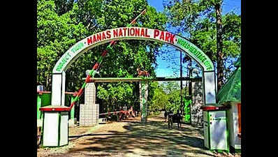 Manas records zero rhino, tiger poaching for 3 years in major conservation milestone