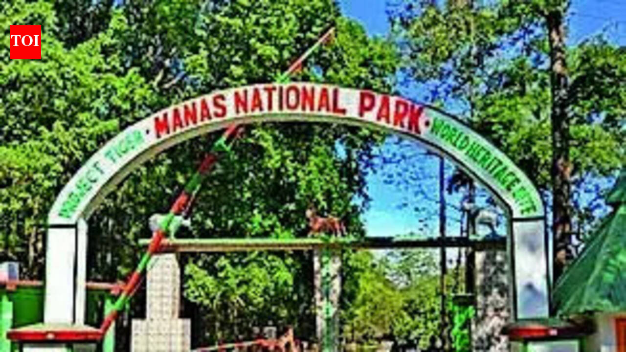 Manas records zero rhino, tiger poaching for 3 years in major conservation milestone
