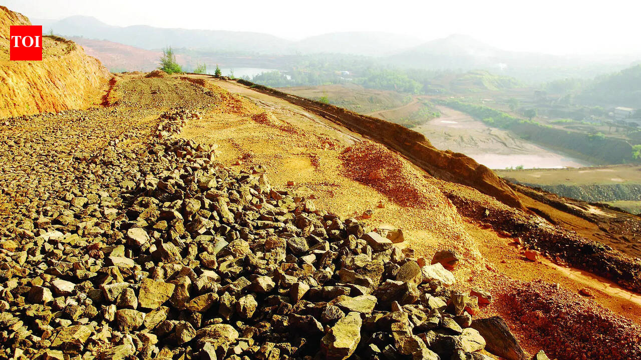 Govt gets only 59 bids for 24 iron ore dumps in second e-auction phase
