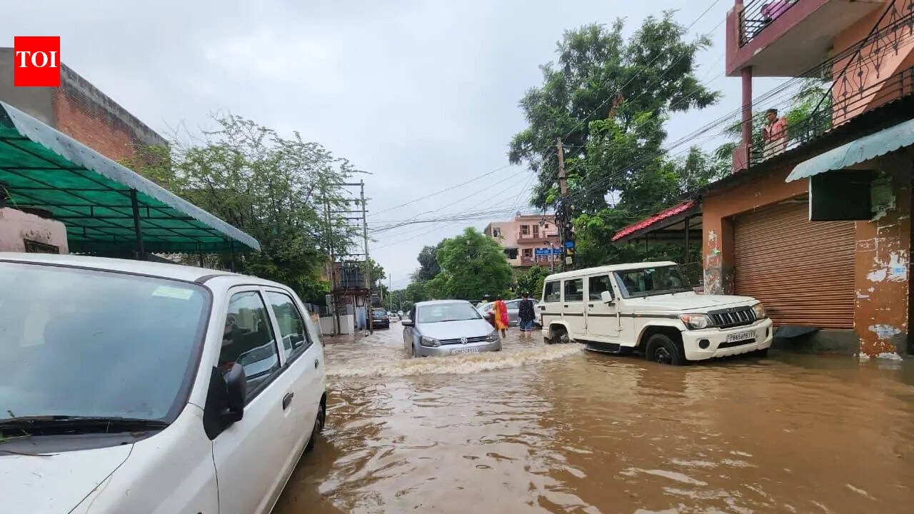 90% storm water drains choked ahead of monsoon; cleaning drive to begin soon: Mohali mayor