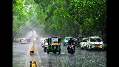 Short spells of rain lower Delhi temperatures; IMD predicts continued relief