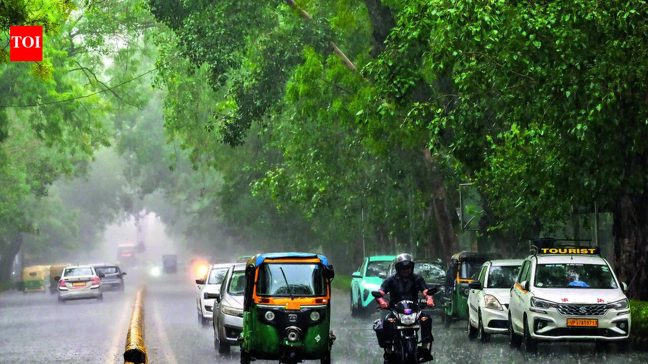 Short spells of rain lower Delhi temperatures; IMD predicts continued relief