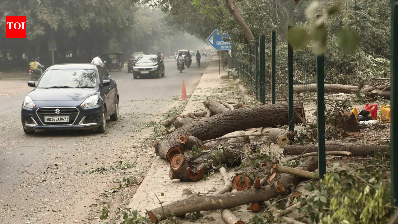 HC curbs prompt fresh survey of trees along new metro corridor in Gurgaon