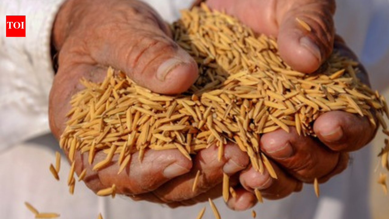 No dip in grain output in last 2 deficit rain years