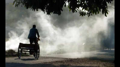 UT to launch scientific audit to measure Chandigarh’s environmental burden