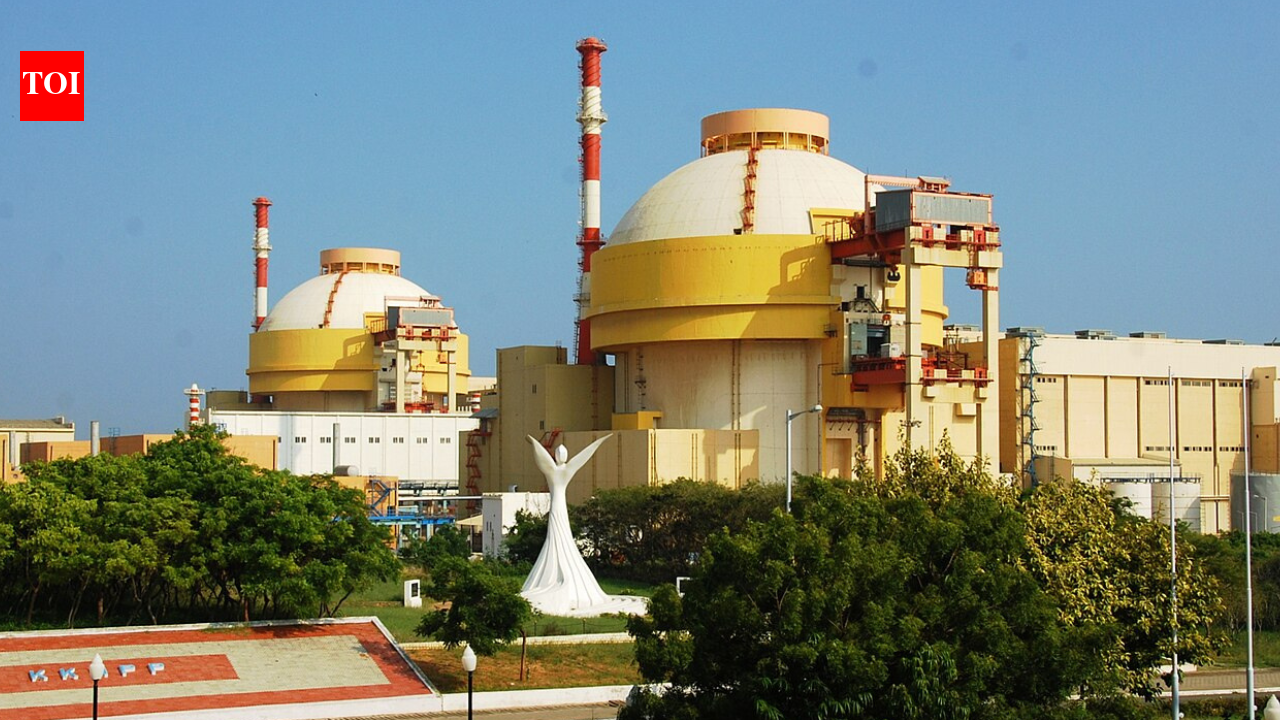 Russia's reactor pressure vessel installed at unit 5 of Kudankulam N-plant