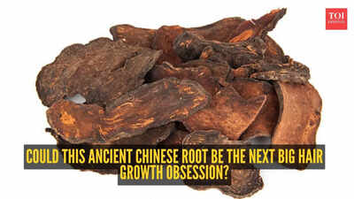  Know more about the 1,000-year-old root