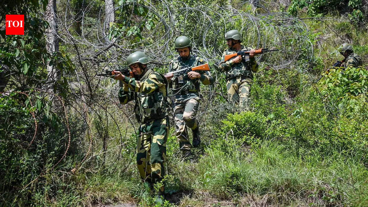 2 BSF personnel get 42 years' rigorous imprisonment for Mizoram gangrape, acid attack
