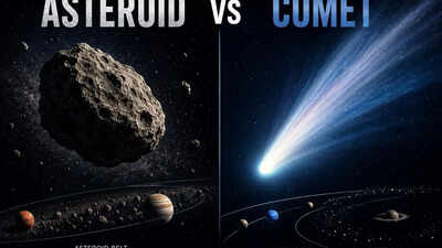 Asteroid vs Comet: Comparing their origins, structure and journey through space