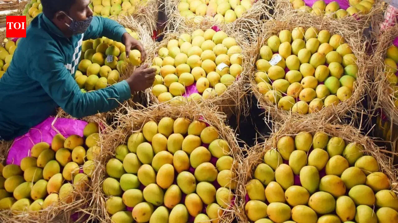India’s mango exports reach 45 countries; US shipments surpass last year’s total: APEDA chief