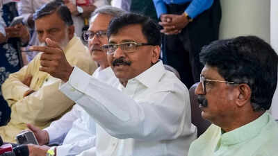 'Bh****i chya': Amid Shiv Sena (UBT) split buzz, Sanjay Raut hurls abuses at dissident MPs