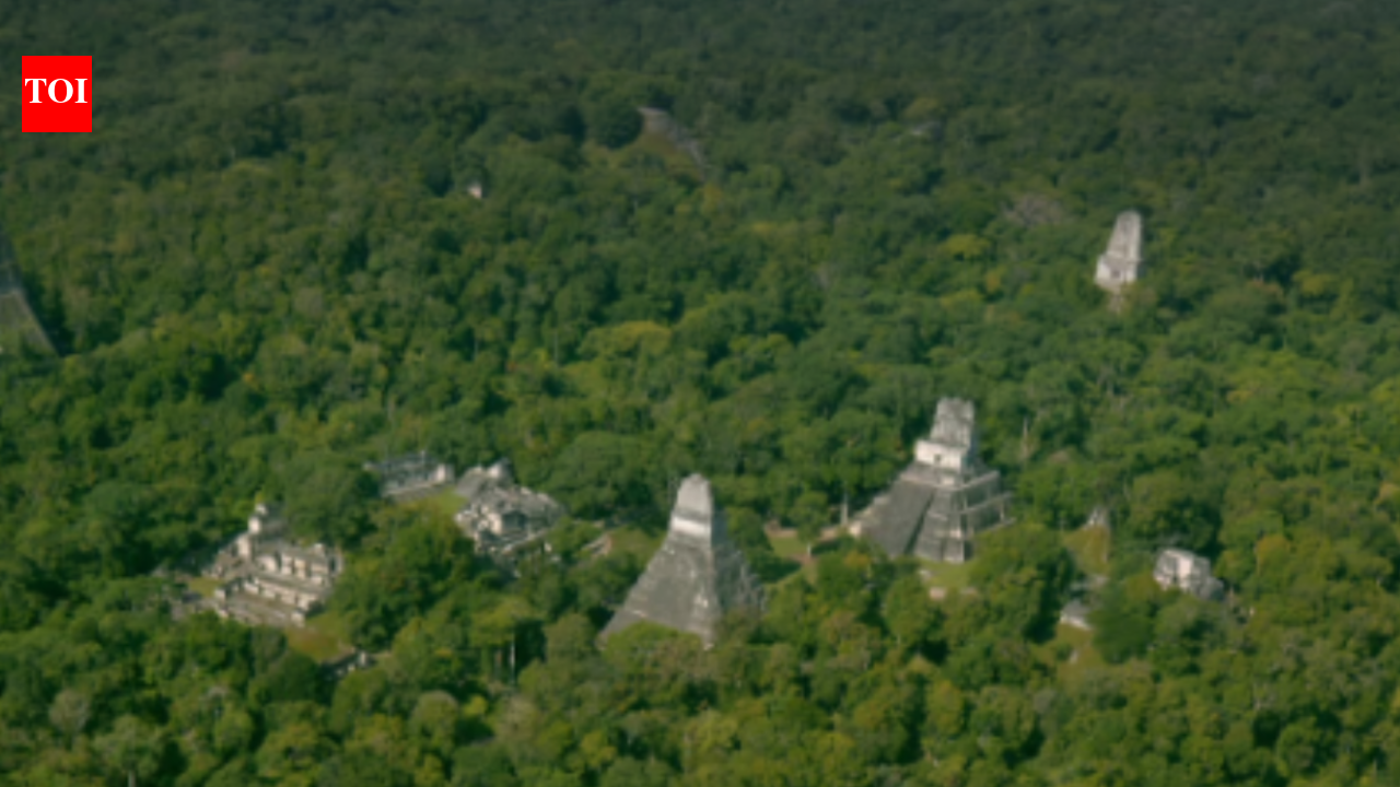 In 2018, LiDAR scans over Guatemala revealed 362 km of Maya causeways beneath the forest