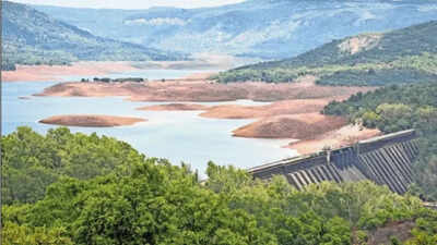 Mumbai staring at water crunch: 7 lakes hold just 10.3% stock, BMC tightens taps