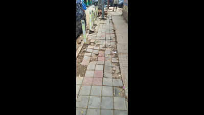 Bengaluru's Super Mario Challenge: Just take a walk