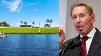  Why the Oracle founder bought a four-acre privacy buffer