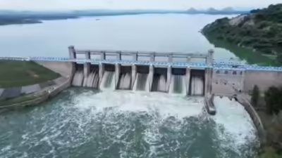 Flood alert issued to people living on banks of Thenpennai river in five districts of Tamil Nadu