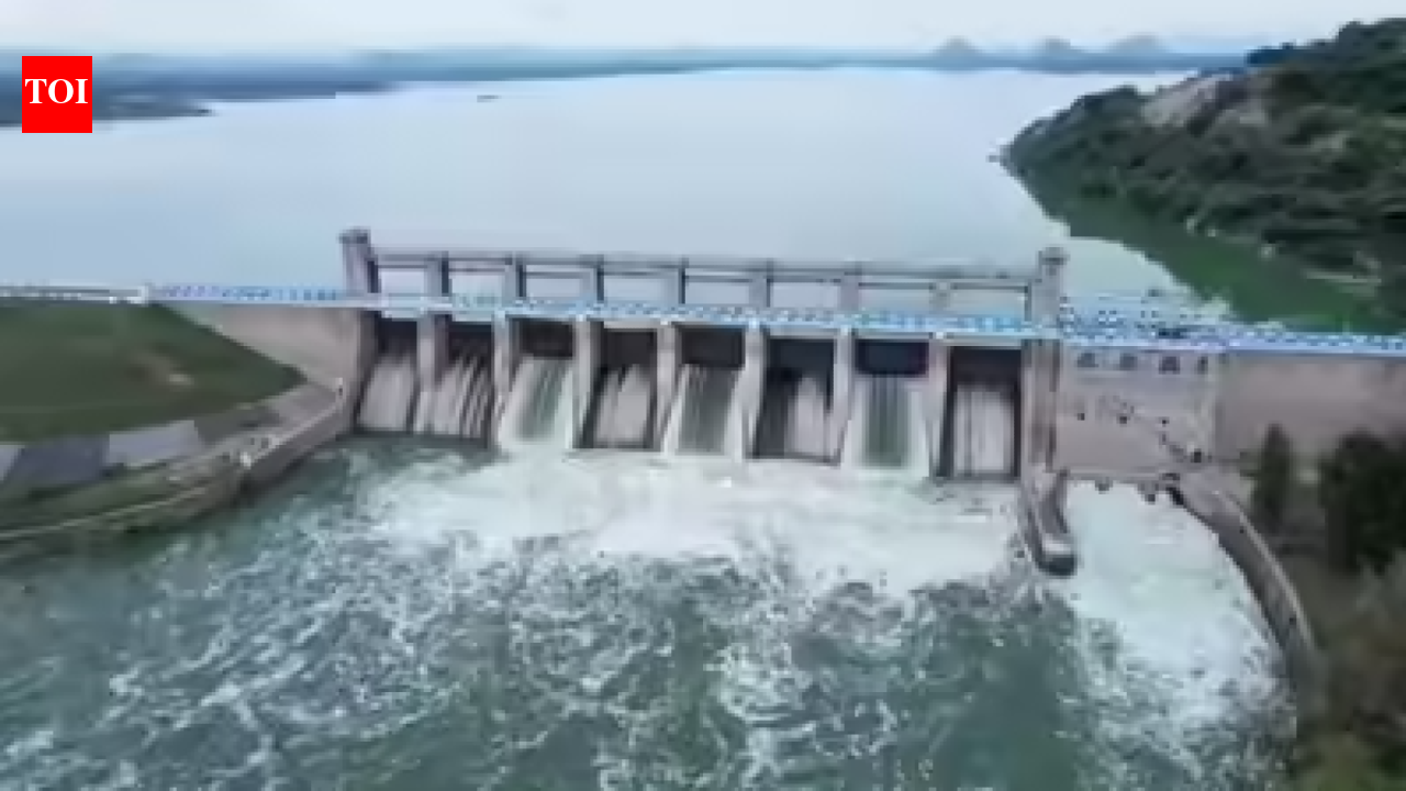 Flood alert issued to people living on banks of Thenpennai river in five districts of Tamil Nadu