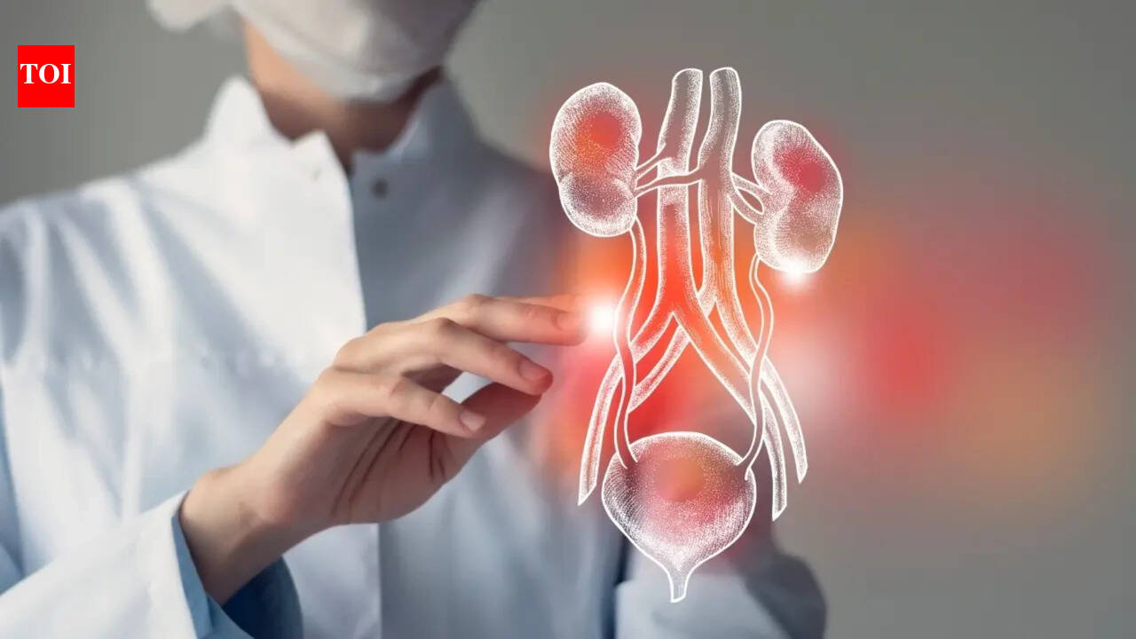 Scientists may have found a way to heal damaged kidneys