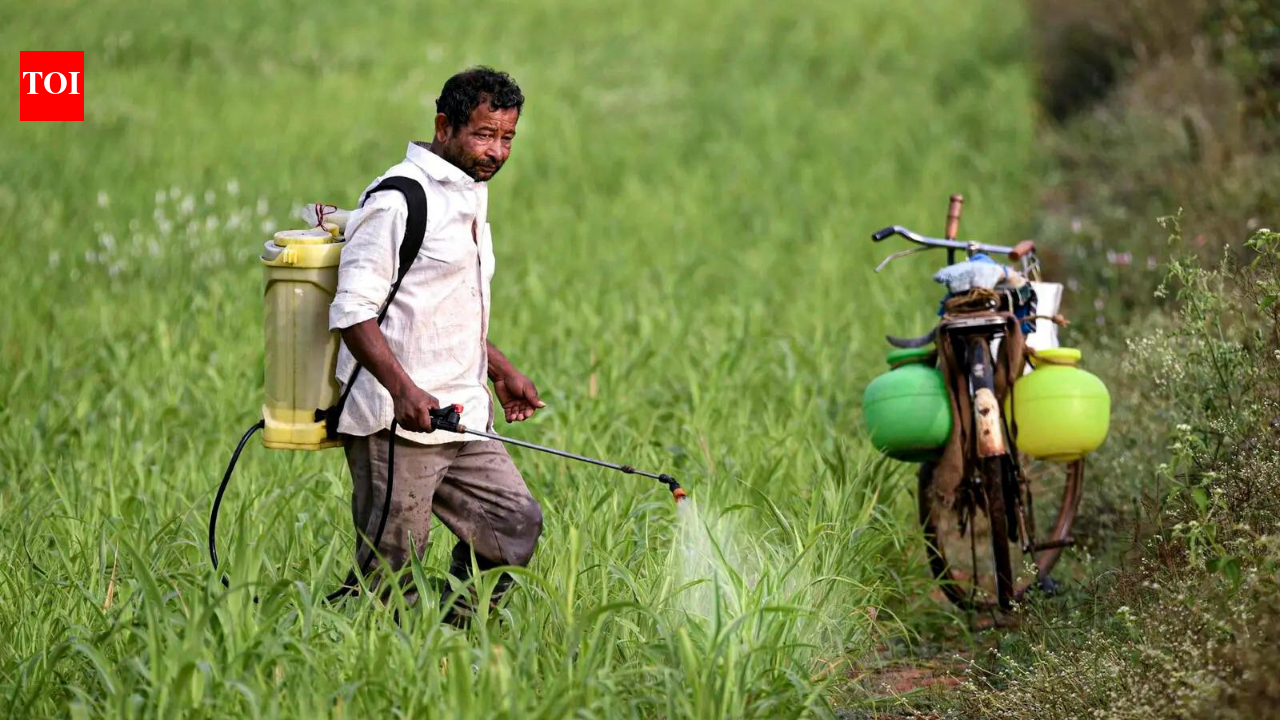Fertilisers: ‘It takes time to restart plants’: Hormuz reopening may not ease fertiliser woes anytime soon, say industry executives