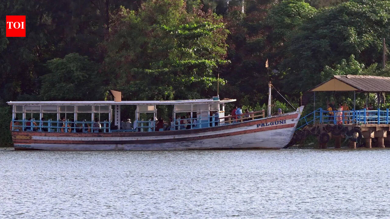 Diesel price hike puts ferry services in city under pressure