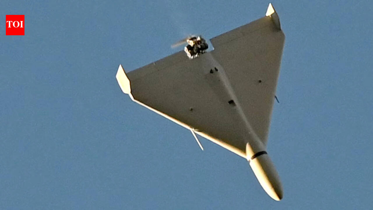 IAF launches project for indigenous long-range kamikaze drones; here's what India already hasIAF launches indigenous long-range suicide drone project. How prepared is India already?