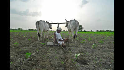 Mysuru district records 78 farmer suicides in one year
