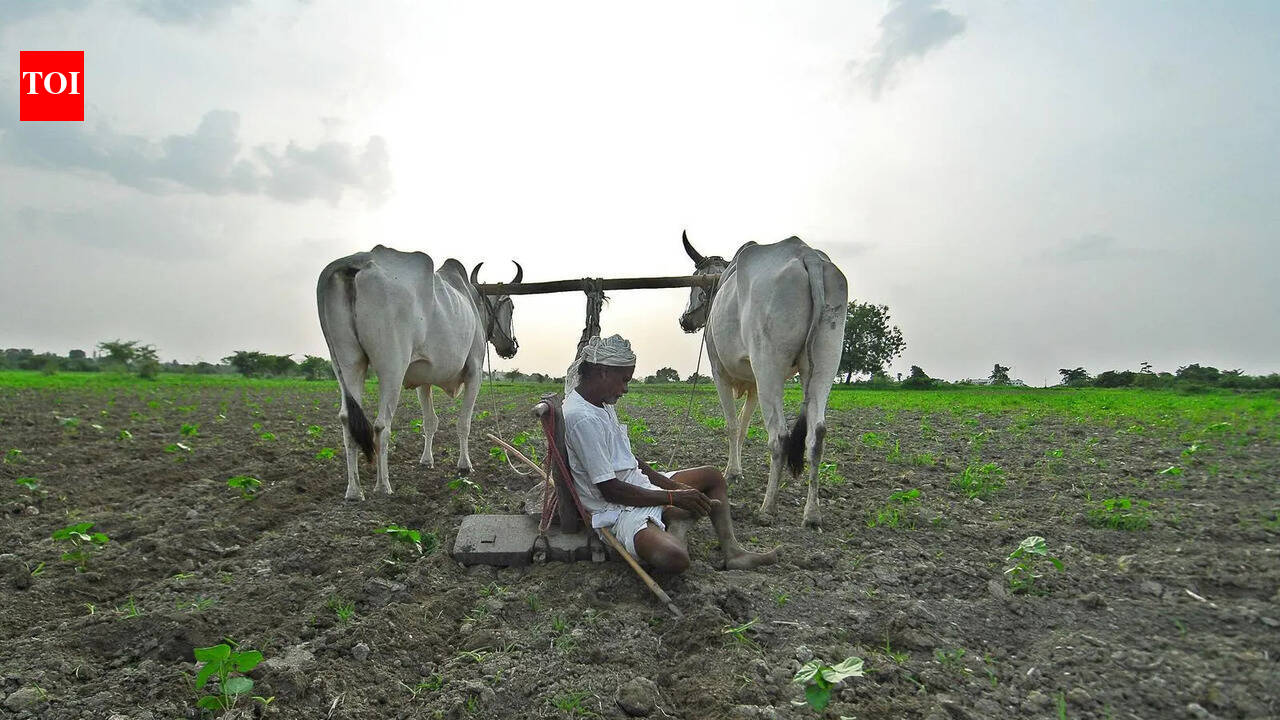 Mysuru district records 78 farmer suicides in one year