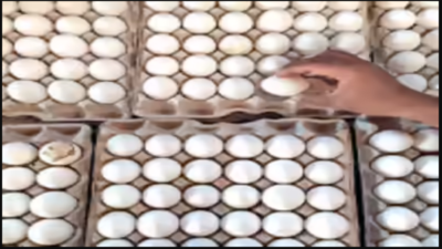 Egg prices hit historic high in Namakkal